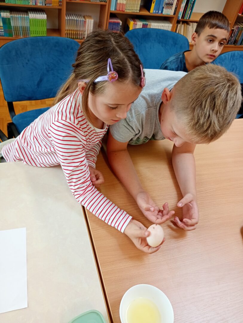 IMG_20250929_120723150_MFNR