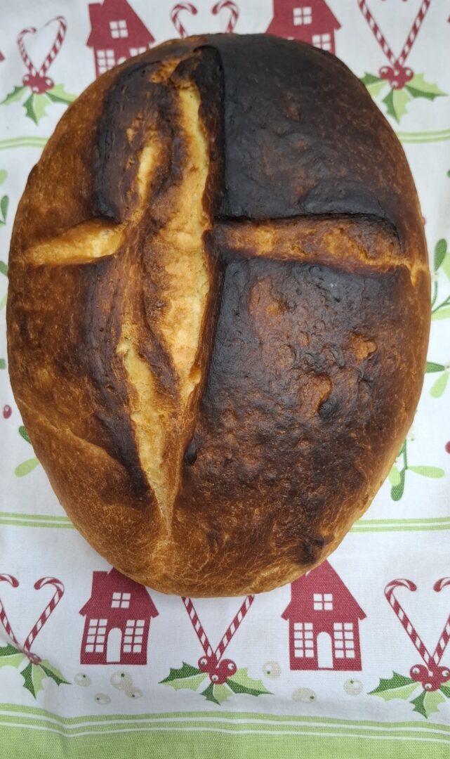 WhatsApp Image 2025-10-14 at 11.09.48 (3)