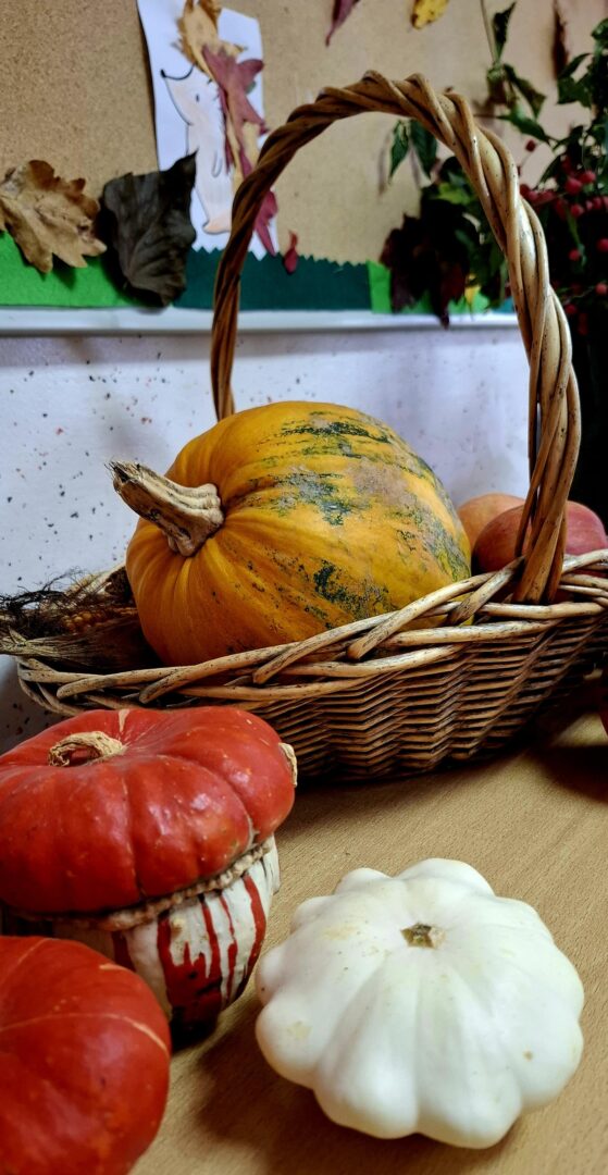 WhatsApp Image 2025-10-14 at 11.09.49 (1)