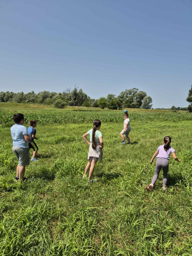 viber_slika_2025-06-11_14-01-34-114