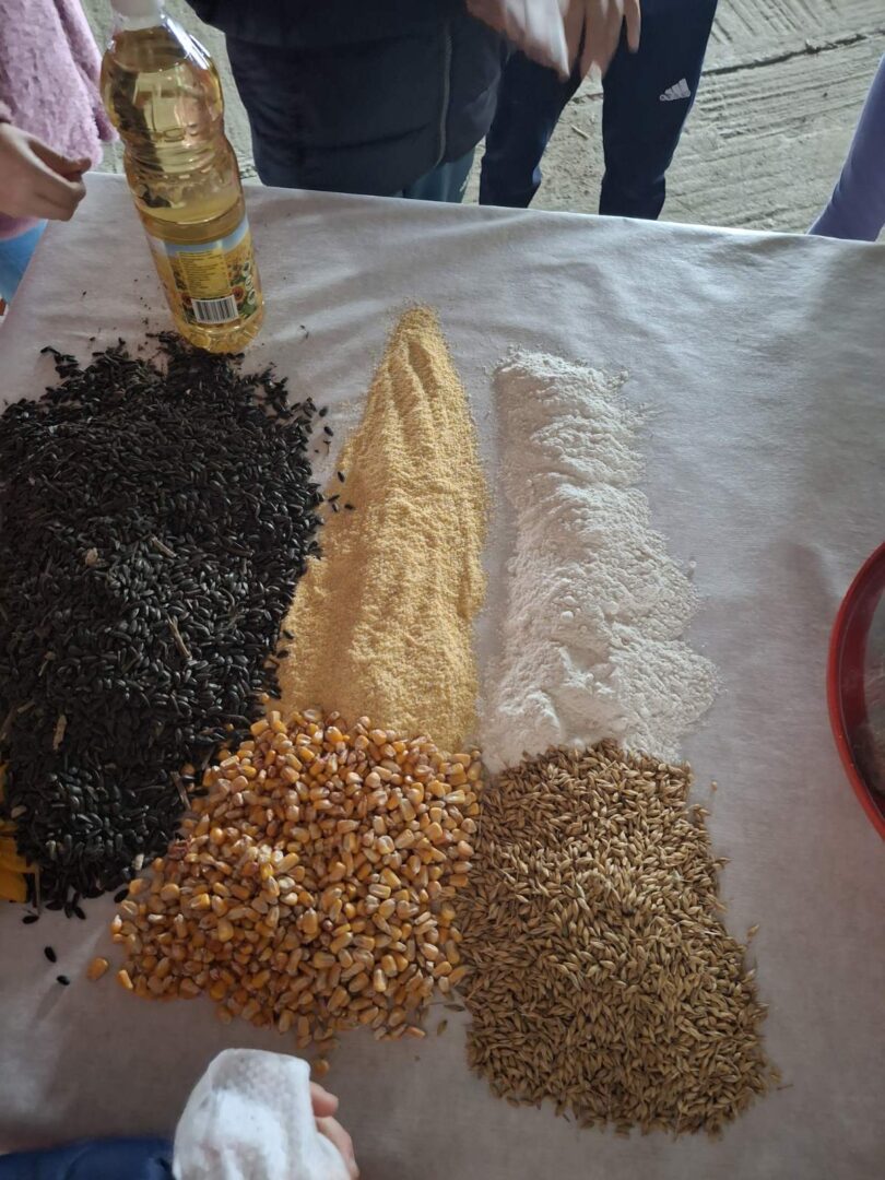 viber_slika_2025-10-13_18-01-56-030