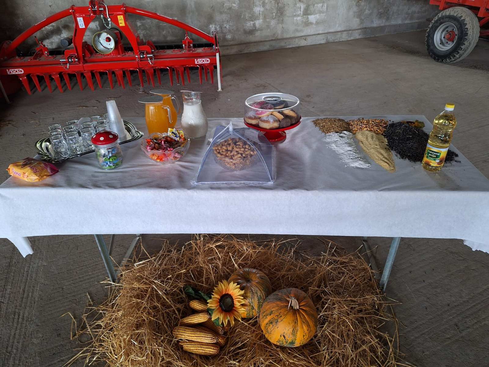 viber_slika_2025-10-13_18-01-56-235