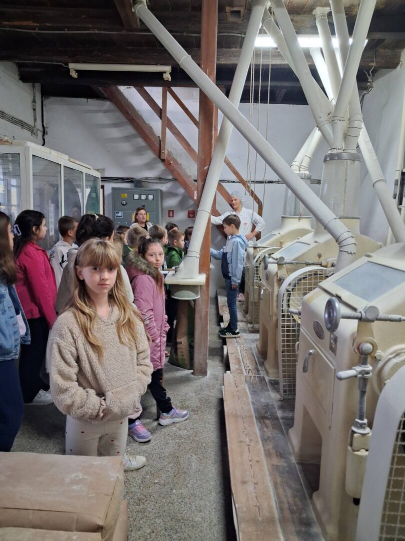 viber_slika_2025-10-14_20-34-55-422