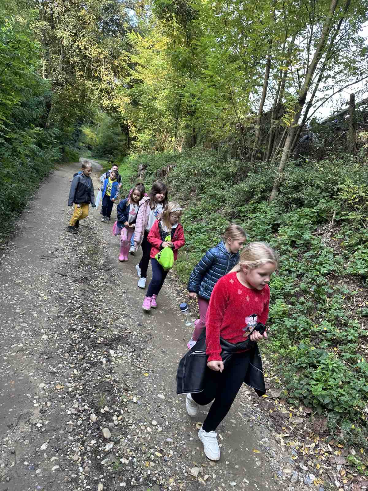 viber_slika_2025-10-15_13-17-57-126