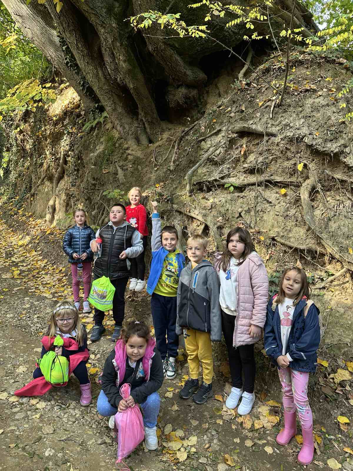 viber_slika_2025-10-15_13-17-57-293