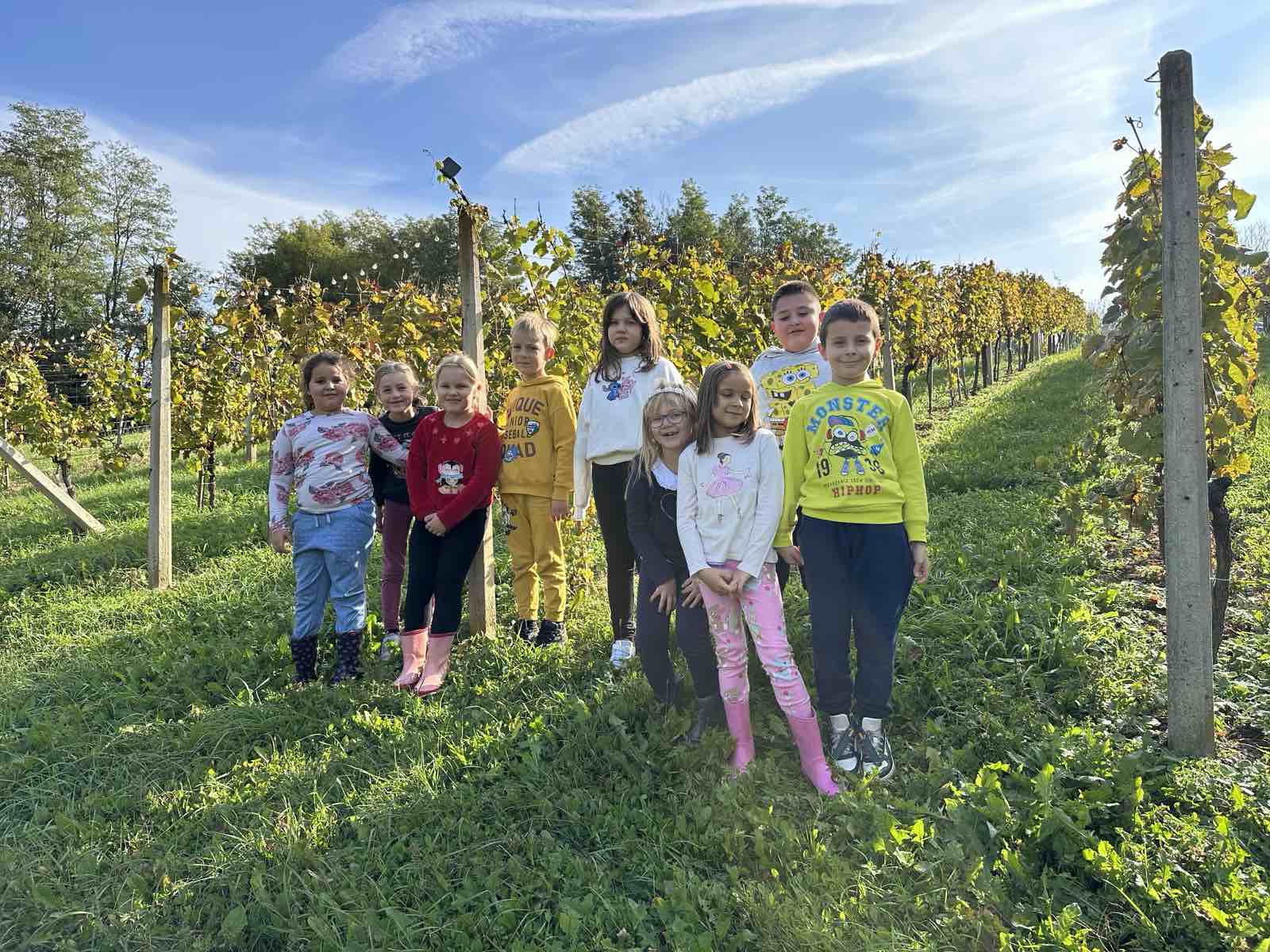 viber_slika_2025-10-15_13-17-57-617