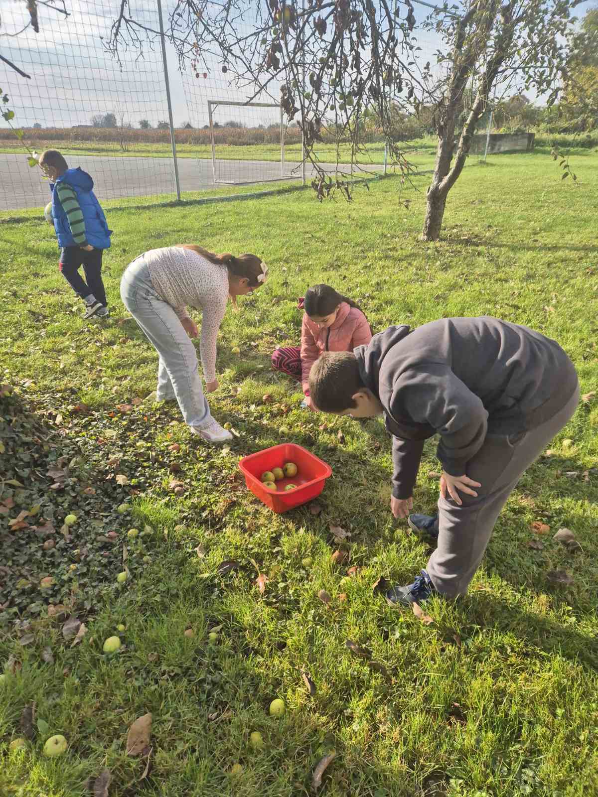 viber_slika_2025-10-20_11-39-18-242