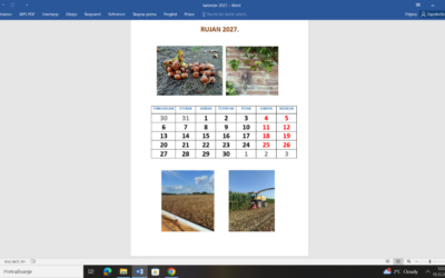 IZRADA ŠKOLSKOG KALENDARA