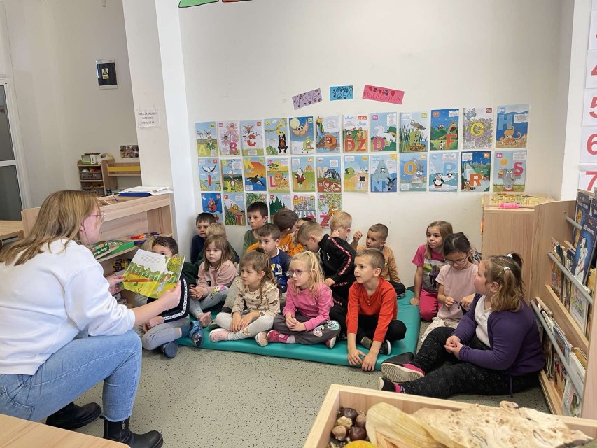 IMG-7d8a918797e845145ce547eaf26fcdc5-V (Custom)