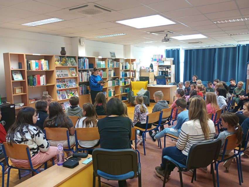 IMG_20251114_120636455_MFNR (Custom)