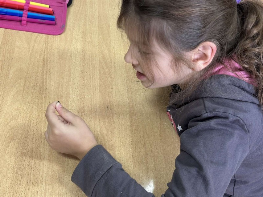 viber_slika_2025-12-10_13-13-19-236 (Custom)