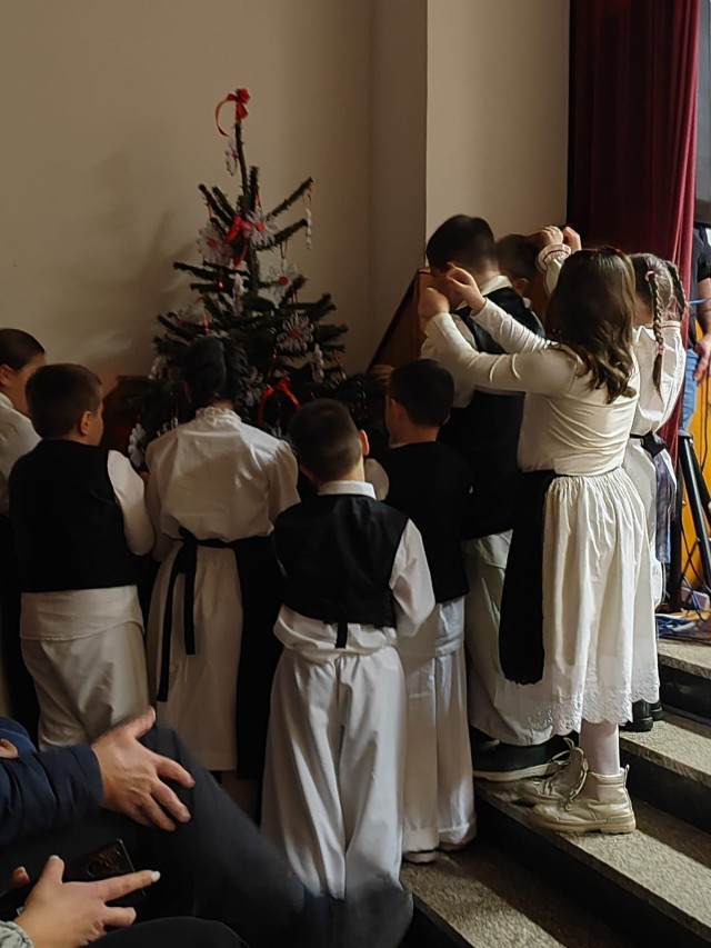 viber_slika_2026-01-07_17-26-27-554 (Custom)