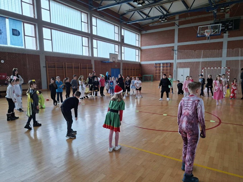 viber_slika_2026-02-17_12-04-32-453 (Custom)