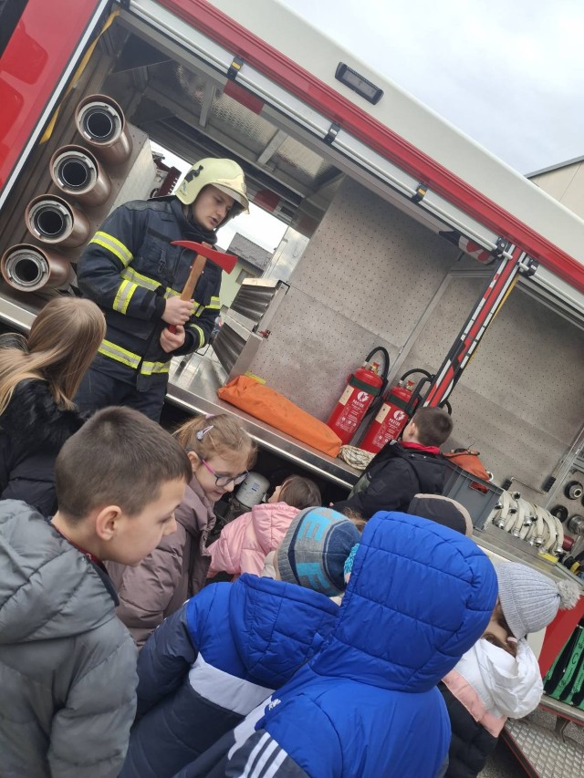 viber_slika_2026-02-22_21-24-02-594 (Custom)