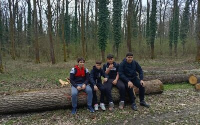 MEĐUNARODNI DAN ŠUMA (21. OŽUJKA)