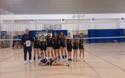 ODBOJKAŠICE OSVOJILE 3. MJESTO NA ŽUPANIJSKOM NATJECANJU