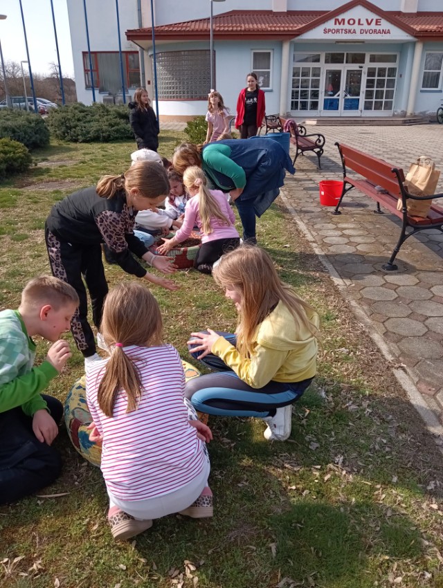 viber_slika_2026-03-12_19-23-12-741 (Custom)