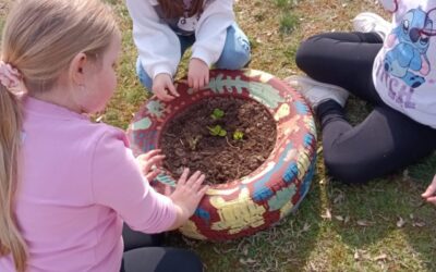 MALI DOMAĆI(NI) IMAJU SVOJ VRT
