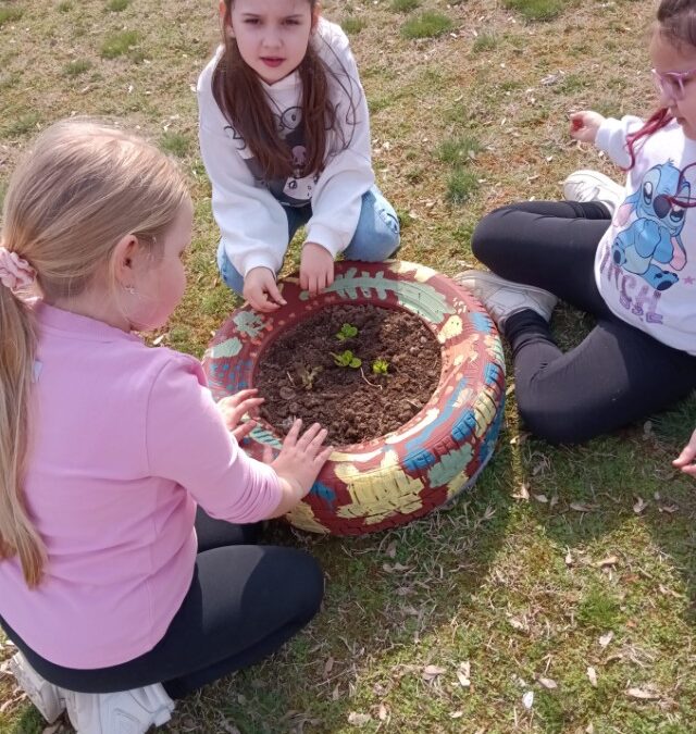 MALI DOMAĆI(NI) IMAJU SVOJ VRT