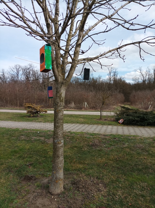 IMG_20260212_125303 (Custom)