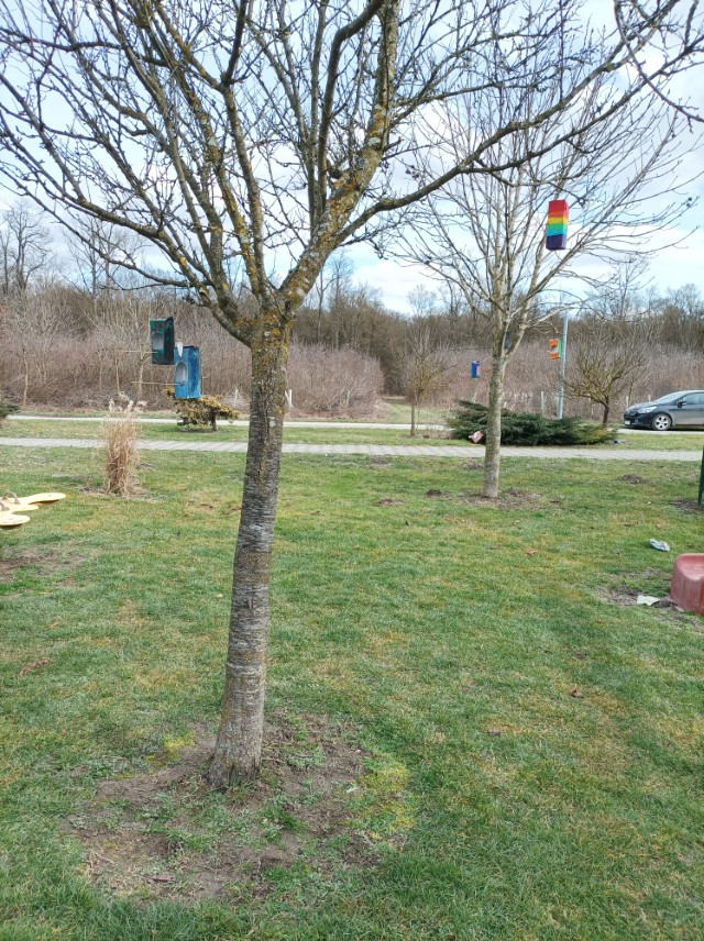 IMG_20260212_125323 (Custom)