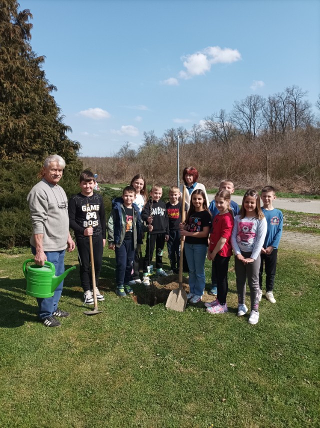 IMG_20260323_104154 (Custom)