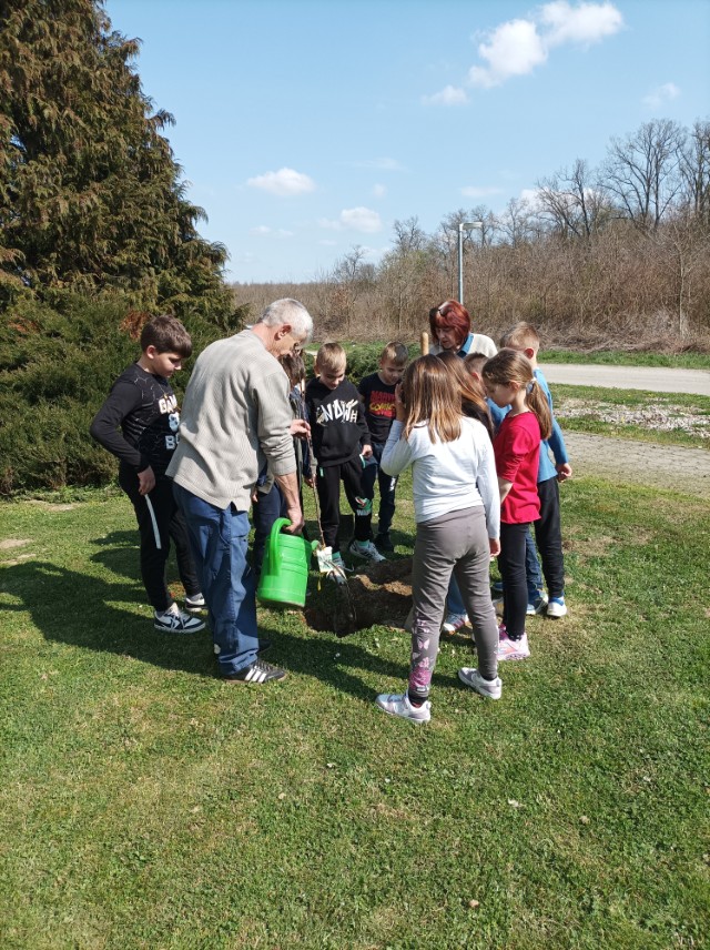 IMG_20260323_104206 (Custom)