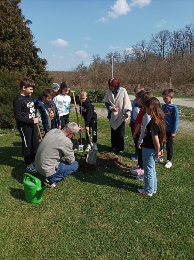 IMG_20260323_104227 (Custom)