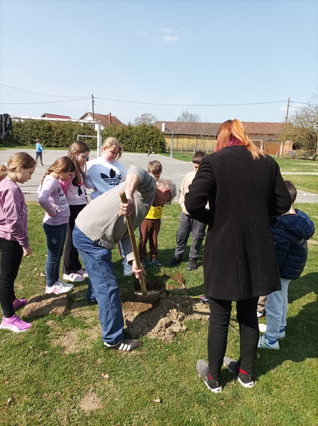 IMG_20260323_104728 (Custom)