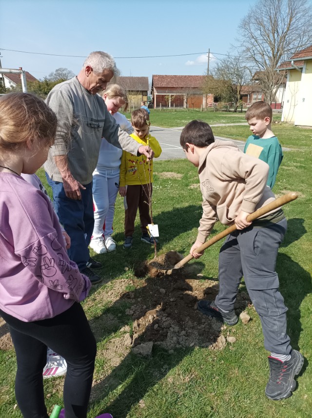 IMG_20260323_104944 (Custom)