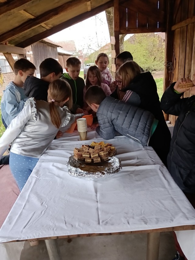 viber_slika_2026-04-15_20-52-03-516 (Custom)