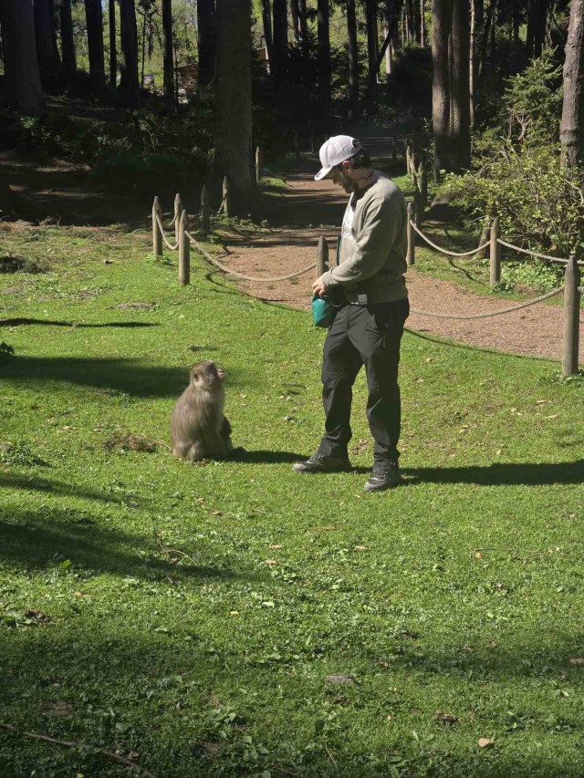 viber_slika_2026-04-24_20-45-43-535 (Custom)