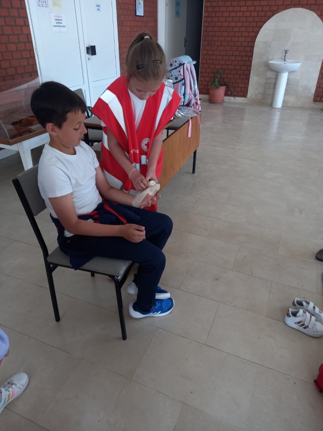 viber_slika_2026-05-14_21-52-59-660 (Custom)