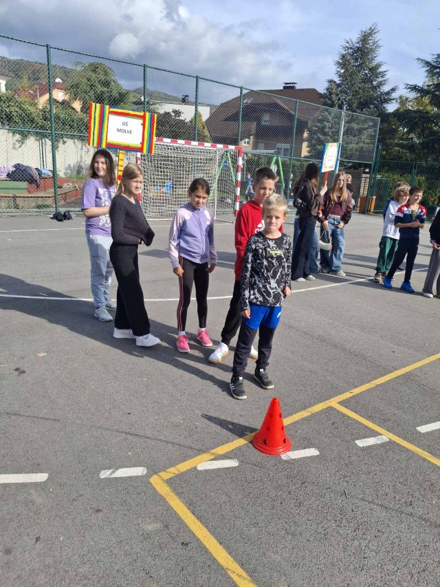 viber_slika_2026-10-19_10-13-11-195 (Custom)